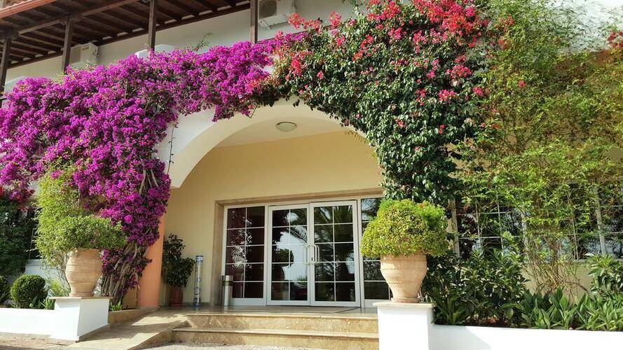 Alexandros Palace Hotel & Suites