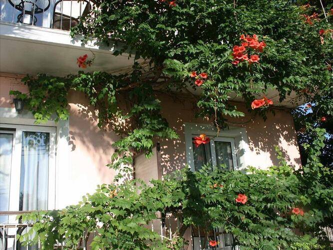 Aegli Hotel