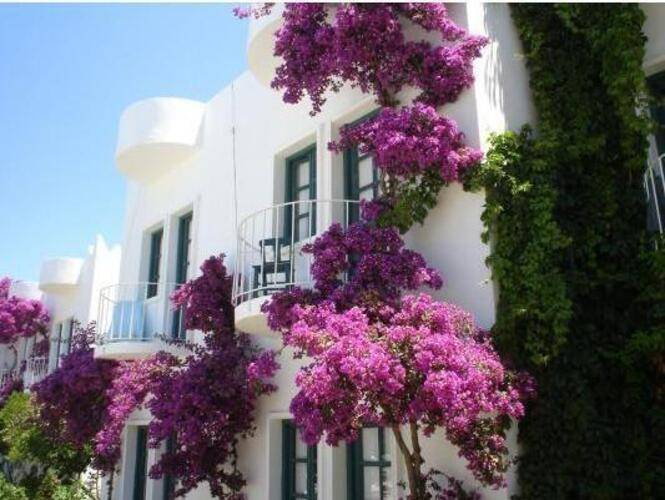 Safir Hotel