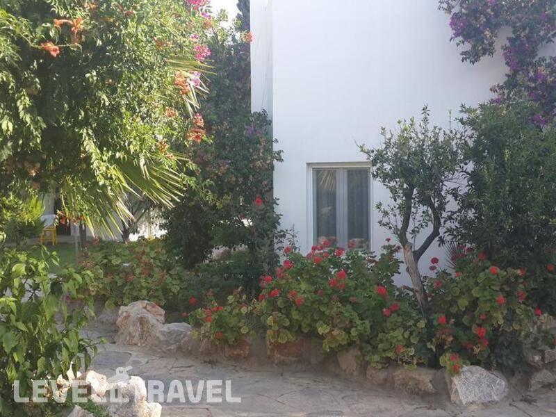 Фотография Safir Hotel