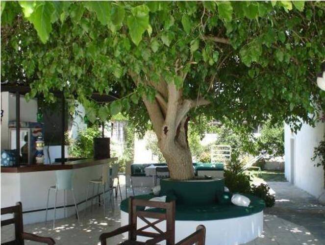 Safir Hotel
