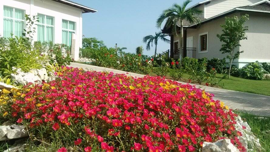 Royalton Cayo Santa Maria (Adults Only 18+)