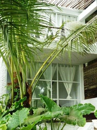 Bliss Hotel Sea Side Boutique & Spa
