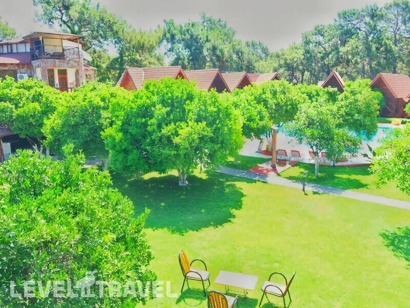 Фотография Woodline Hotel