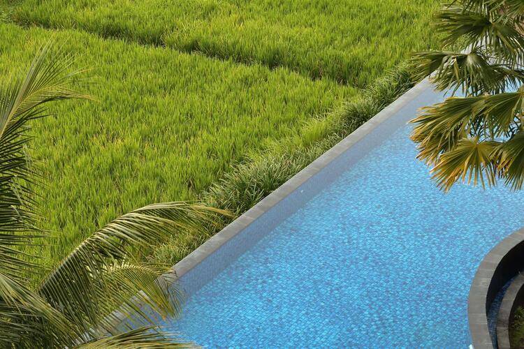 Plataran Ubud Hotel & Spa