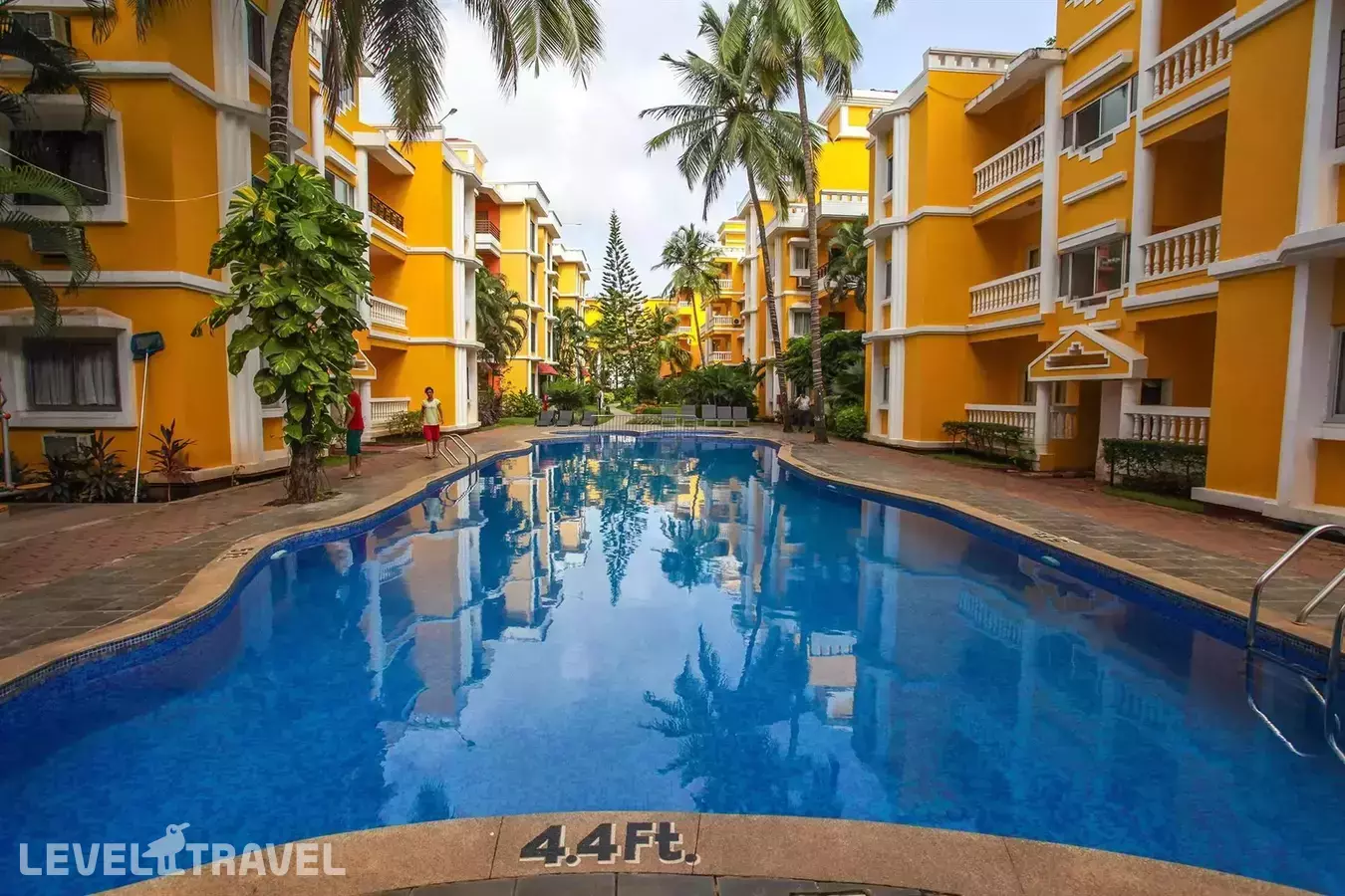 Adamo The Bellus (Ex. Sunkissed)