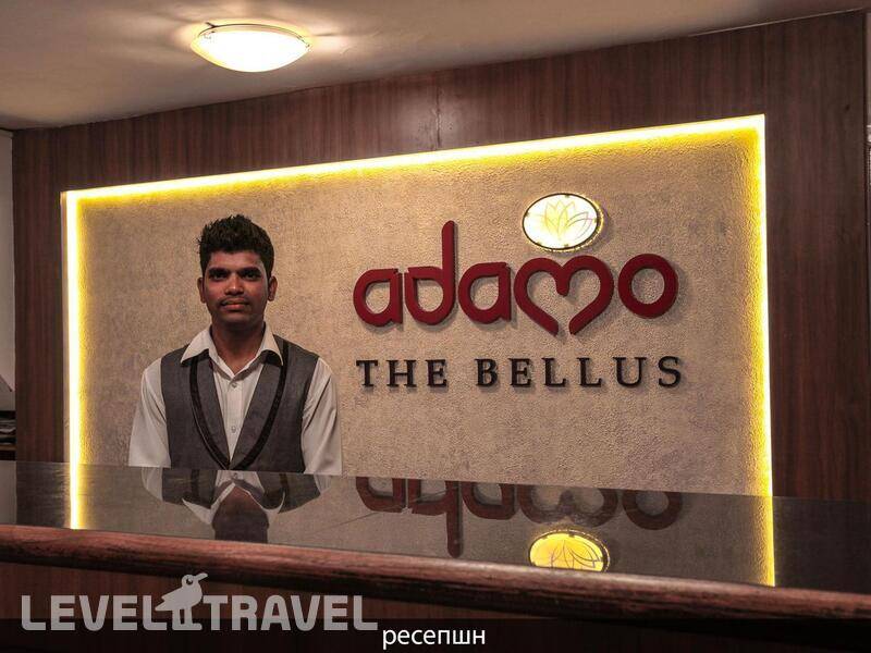 Фотография Adamo The Bellus (Ex. Sunkissed)