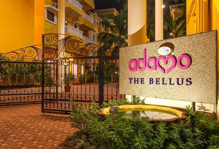 Adamo The Bellus (Ex. Sunkissed)