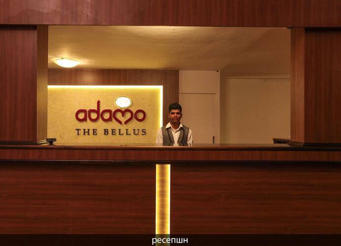 Adamo The Bellus (Ex. Sunkissed)