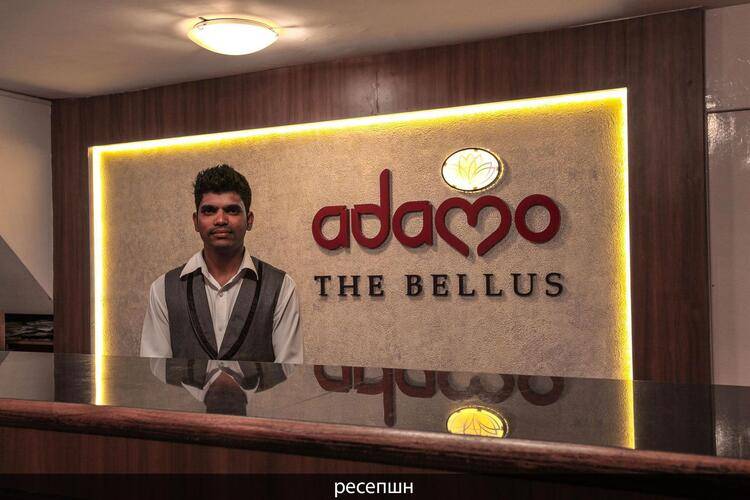 Adamo The Bellus (Ex. Sunkissed)