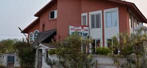 Ginger Tree Boutique Resort