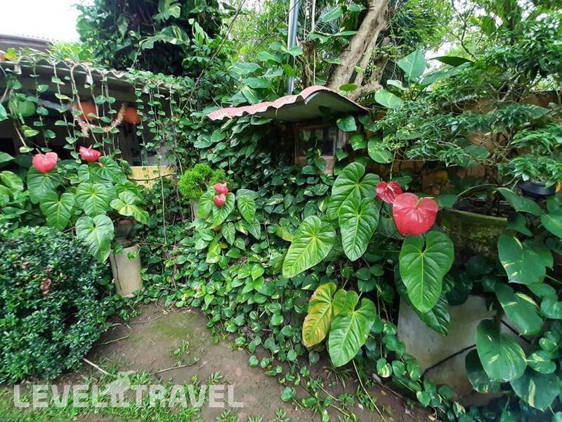 Фотография Sea Breeze Guest House