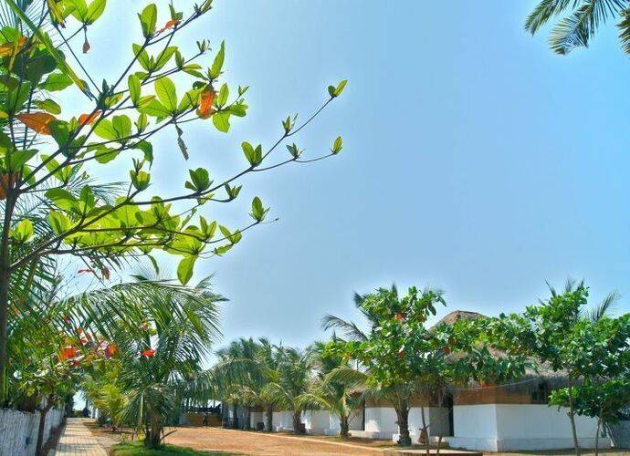 Meera Hotel (Ex.The Crib)