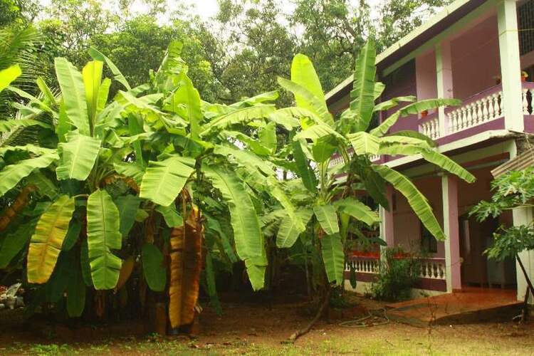 Orchid Beach House (Ex. Orchid House)
