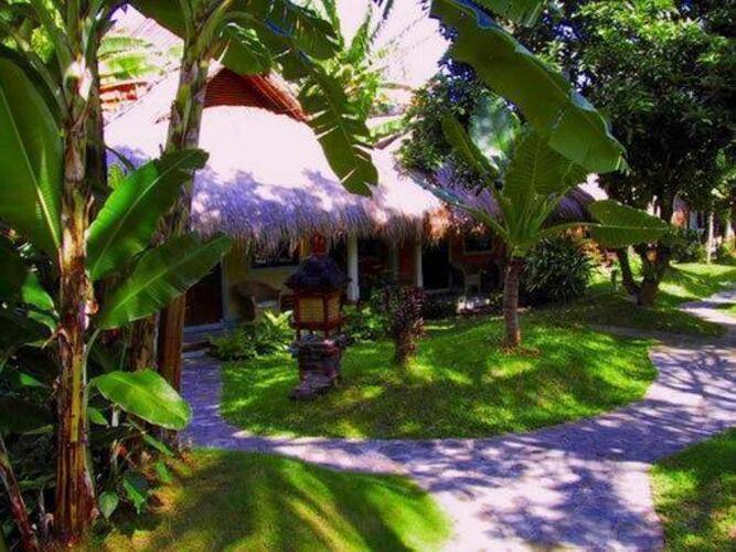 Bali Mystique