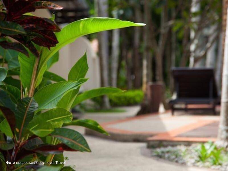 Фотография Bangtao Kanita House