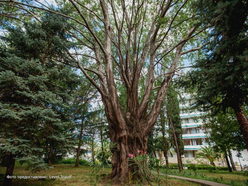 Фотография Санаторий Знание