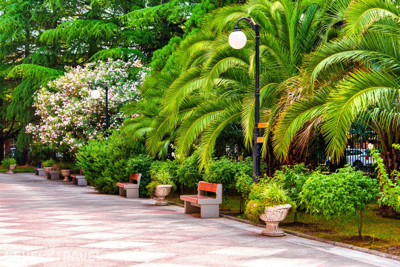 фотографии отеля Санаторий Южное Взморье в Россия(Адлер) - фото №14