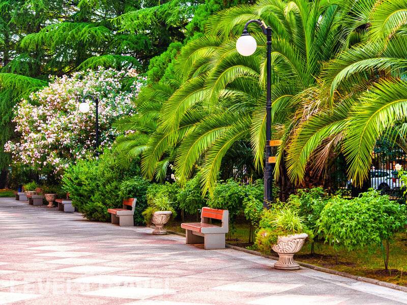 Фотография Санаторий Южное Взморье Фотография Санаторий Южное Взморье