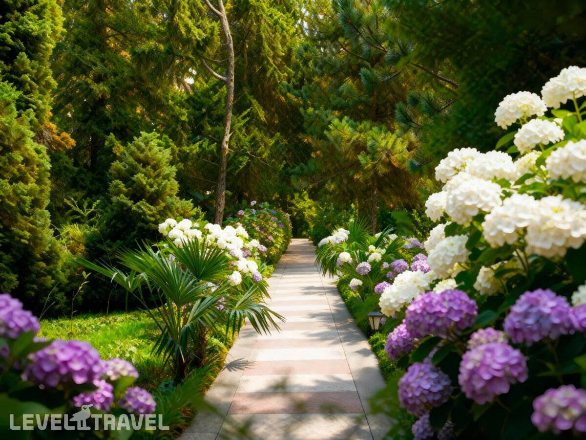 фотографии отеля Санаторий Южное Взморье в Россия(Адлер) - фото №9