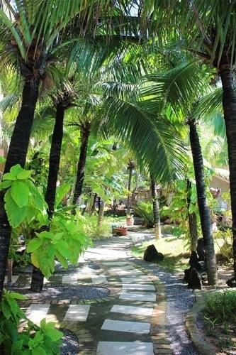 Mui Ne Minh Tam Resort