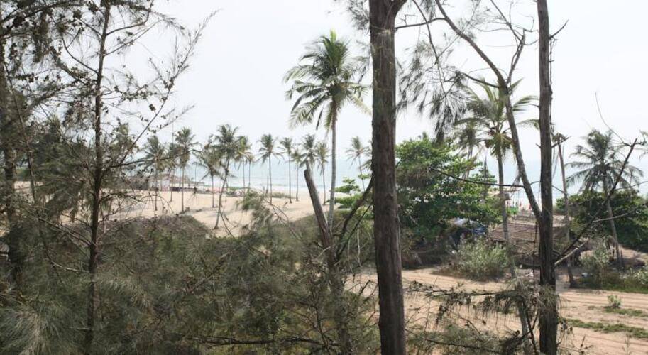 Acacia Palms Resort