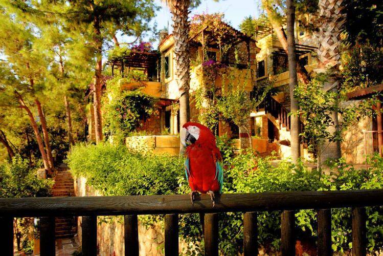 Symbola Oludeniz Beach Hotel