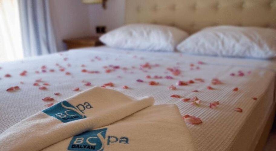 Bc Spa Hotel