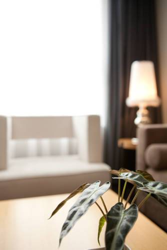Royal Tulip Luxury Hotel Carat