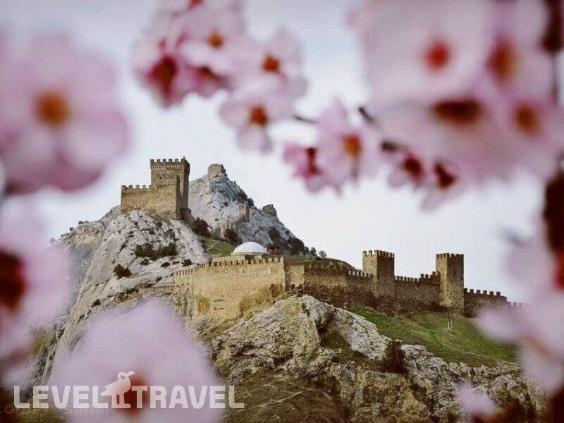 Фотография Пансионат Звездный