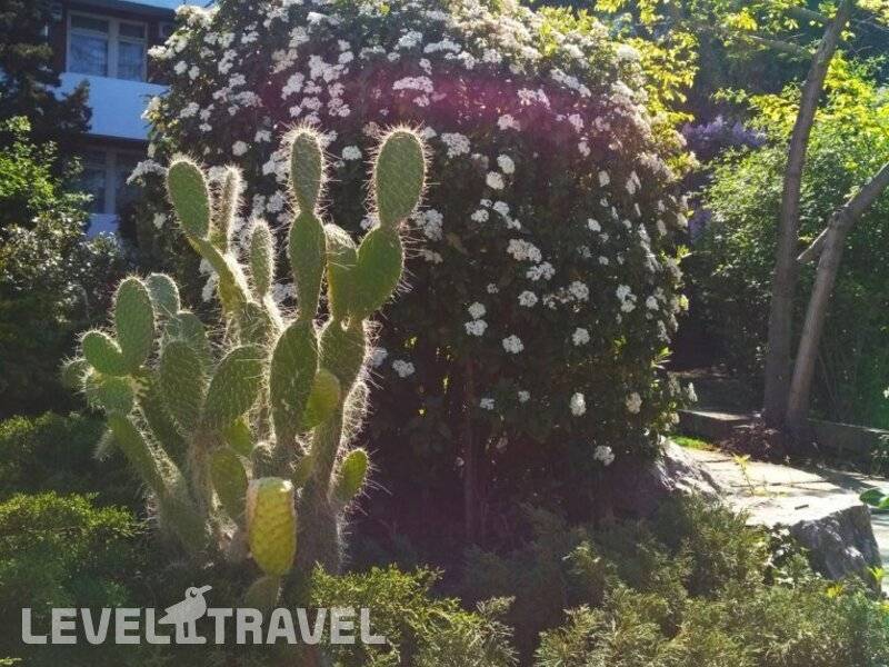Фотография Пансионат Звездный