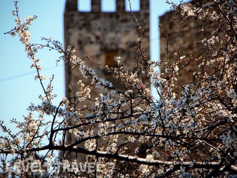 Фотография Пансионат Звездный