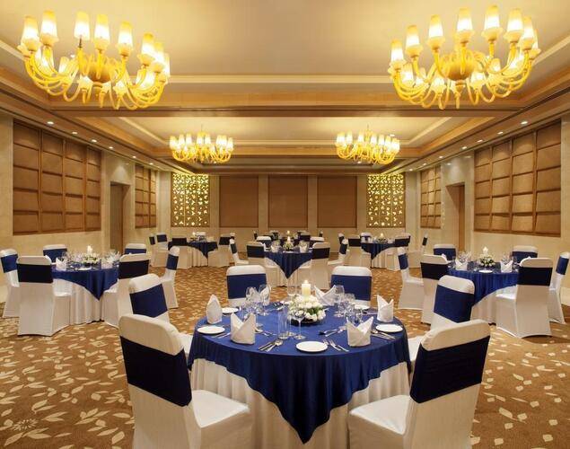 Radisson Blu Hotel New Delhi Dwarka