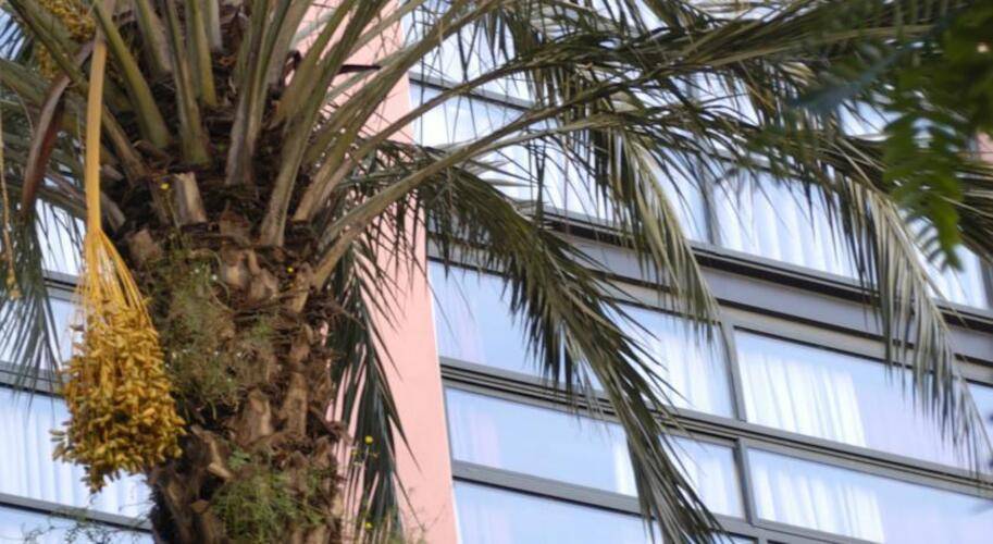 Barcelona Apartment Allada — фото 14