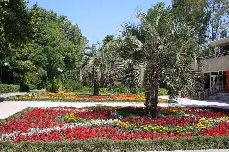 Гостиница Парадиз