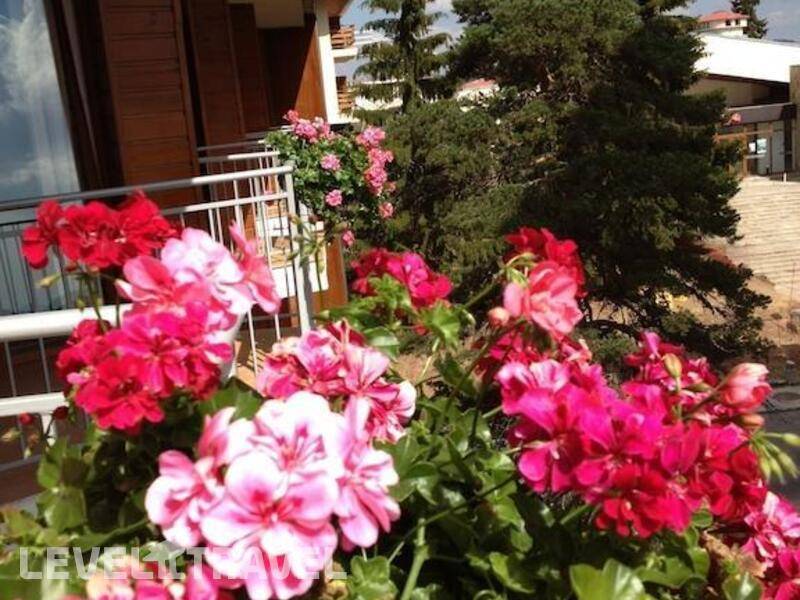 Фотография Dafovska Hotel