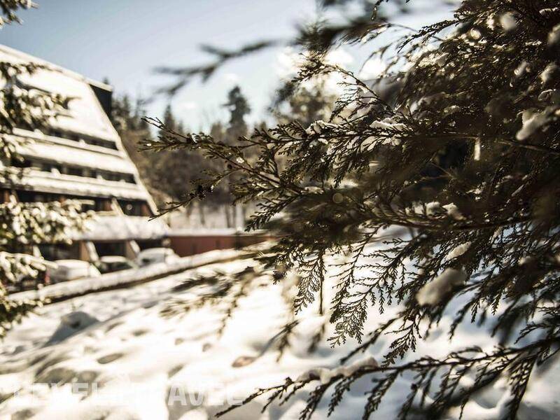 Фотография Mura Hotel