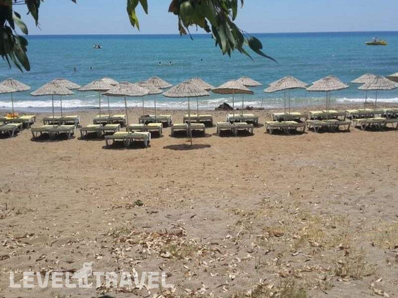 Фотография Eva Hotel