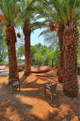 Apollonia Beach Resort & Spa