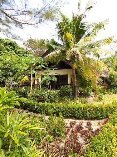 Paradise Pearl Bungalow