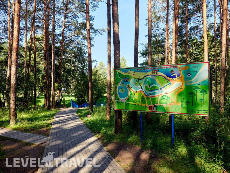 Фотография Санаторий Сосновый Бор Фотография Санаторий Сосновый Бор