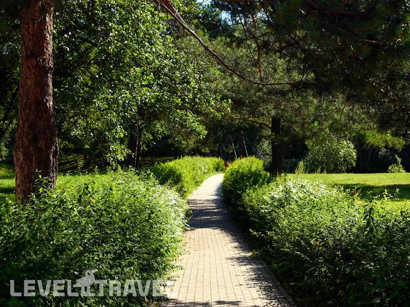 Фотография Санаторий Сосновый Бор Фотография Санаторий Сосновый Бор