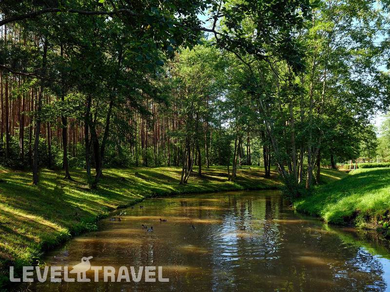 Фотография Санаторий Сосновый Бор Фотография Санаторий Сосновый Бор
