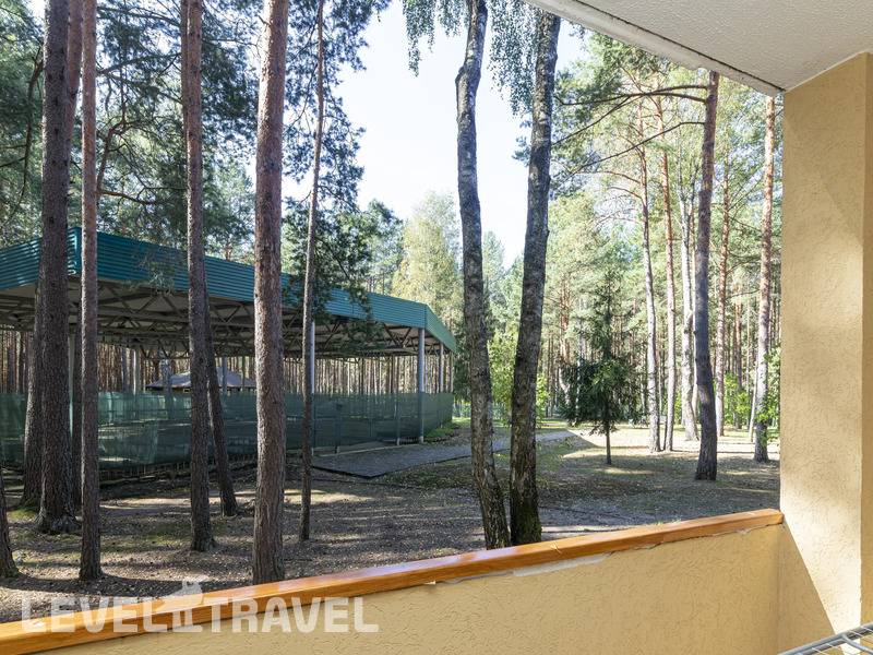 Фотография Санаторий Сосновый Бор Фотография Санаторий Сосновый Бор