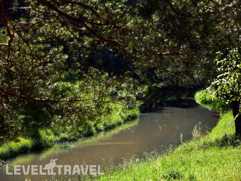 Фотография Санаторий Сосновый Бор Фотография Санаторий Сосновый Бор