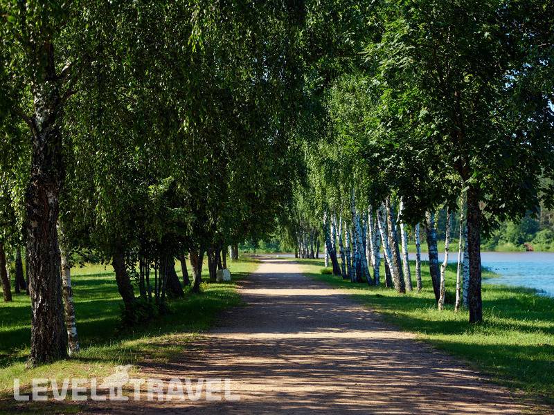 Фотография Санаторий Сосновый Бор Фотография Санаторий Сосновый Бор