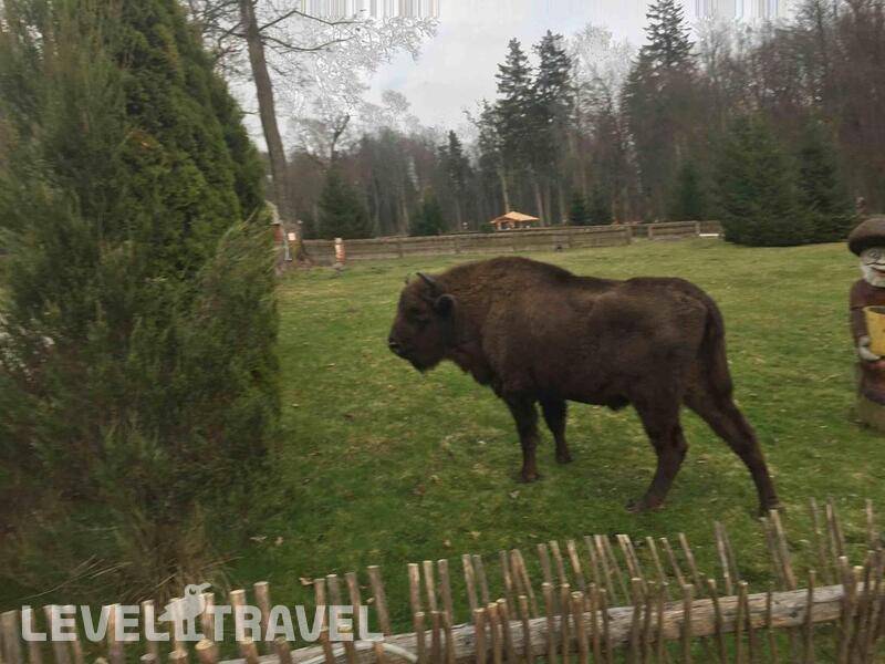 Фотография Гостиница Каменюки