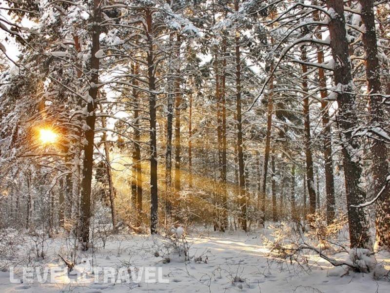 Фотография Санаторий Лесные Озера