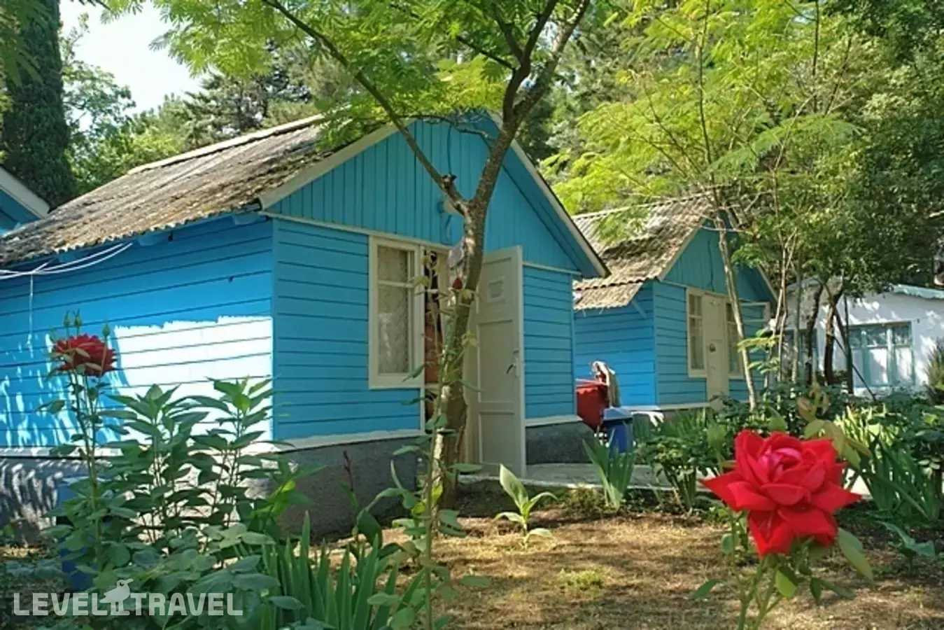 Тур База Мир