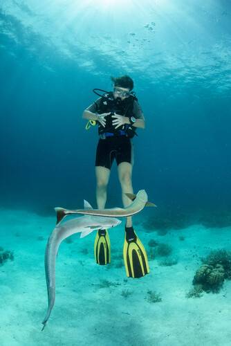 Reveries Maldives (Ex. Reveries Diving Village)